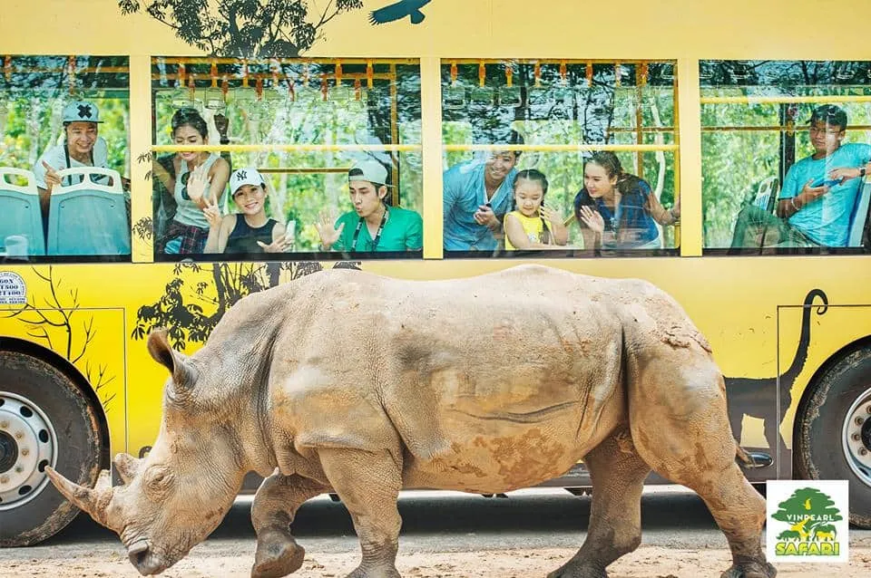 Lịch trình khám phá Vinpearl Safari Phú Quốc – Khu bán vườn thú hoang dã lớn nhất Việt Nam