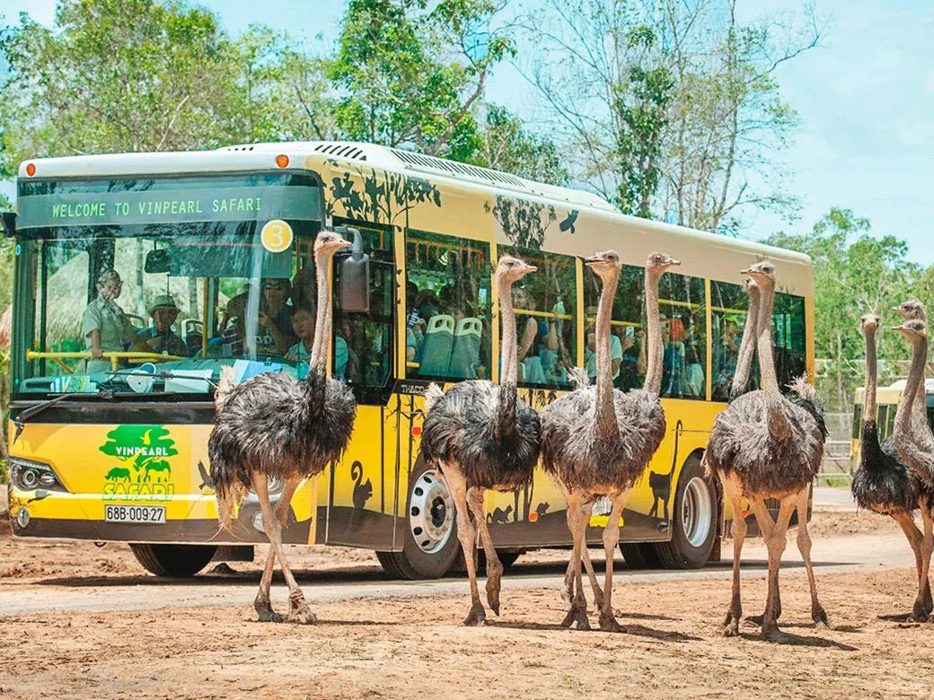 Lịch trình khám phá Vinpearl Safari Phú Quốc – Khu bán vườn thú hoang dã lớn nhất Việt Nam