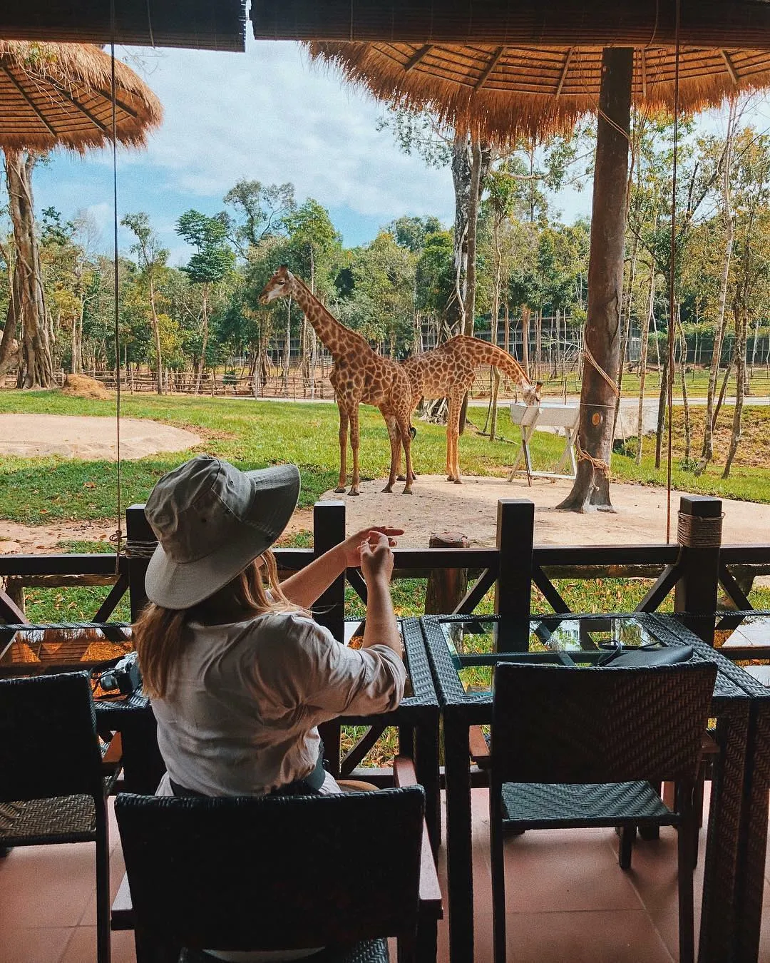 Lịch trình khám phá Vinpearl Safari Phú Quốc – Khu bán vườn thú hoang dã lớn nhất Việt Nam