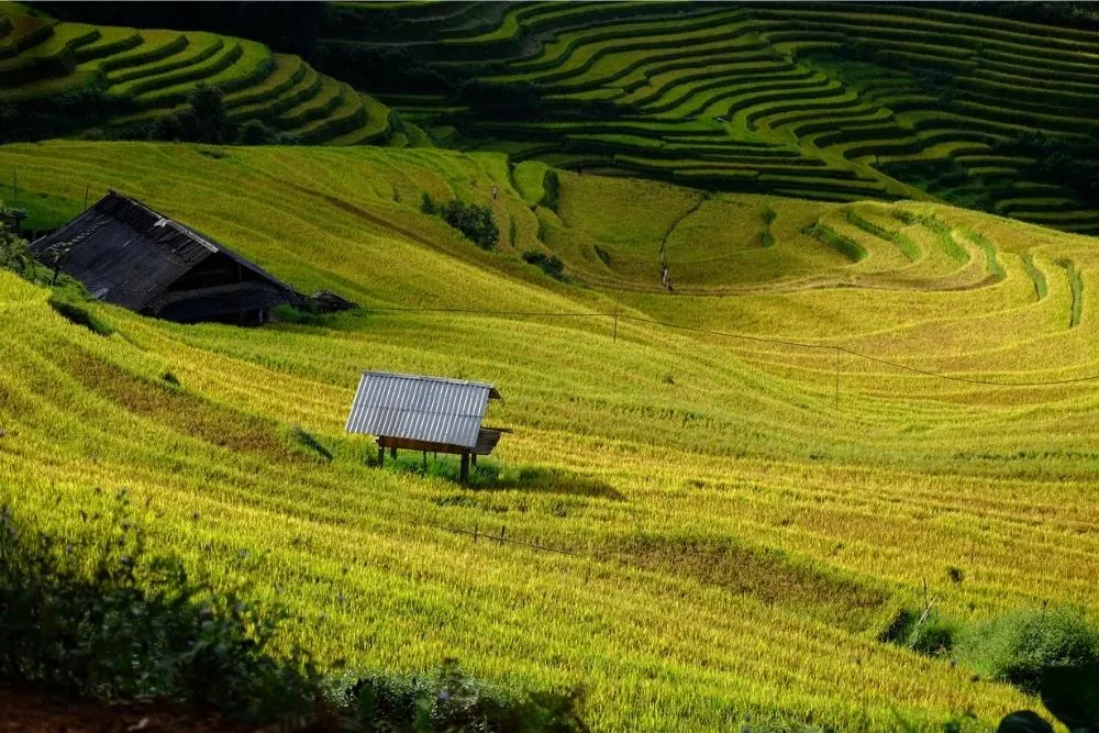 Lịch trình Mù Cang Chải 3N2Đ dành cho tín đồ khám phá