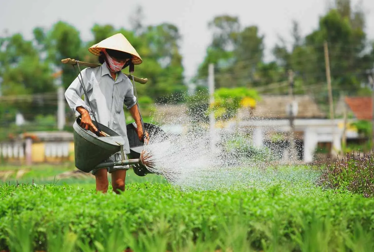 Lịch trình nửa ngày khám phá Hội An với những trải nghiệm mới toanh