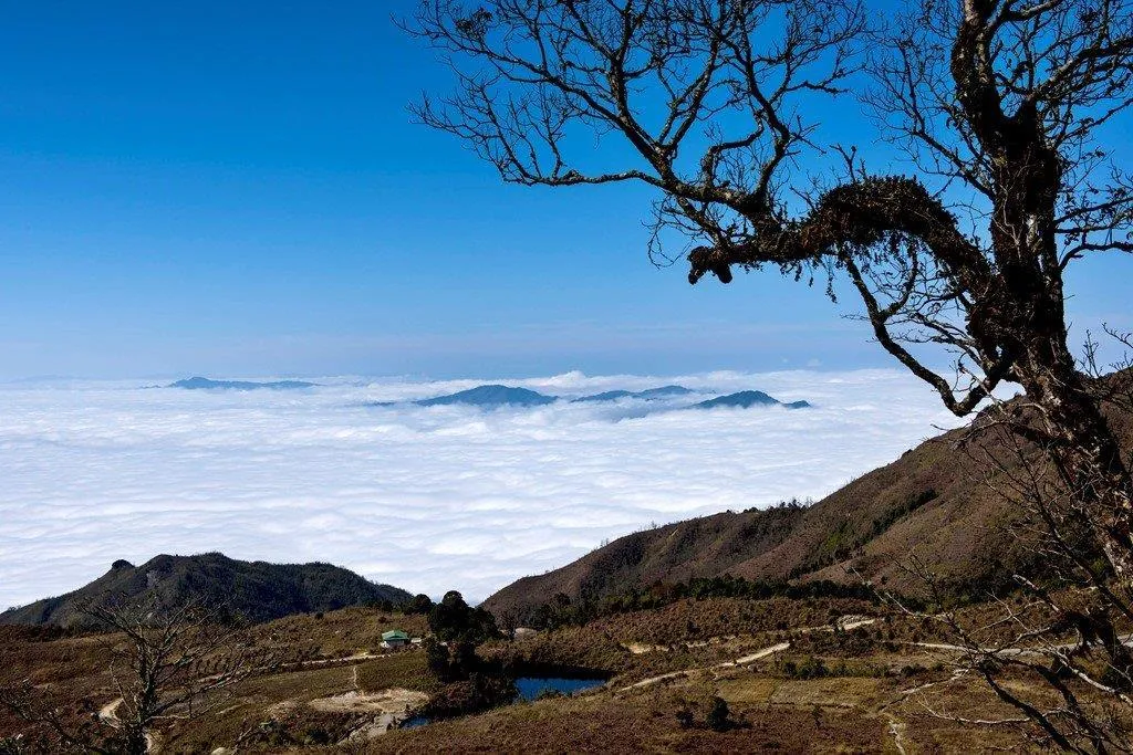 Lịch trình Săn mây trên đỉnh Tây Côn Lĩnh cao nhất nhì Hà Giang