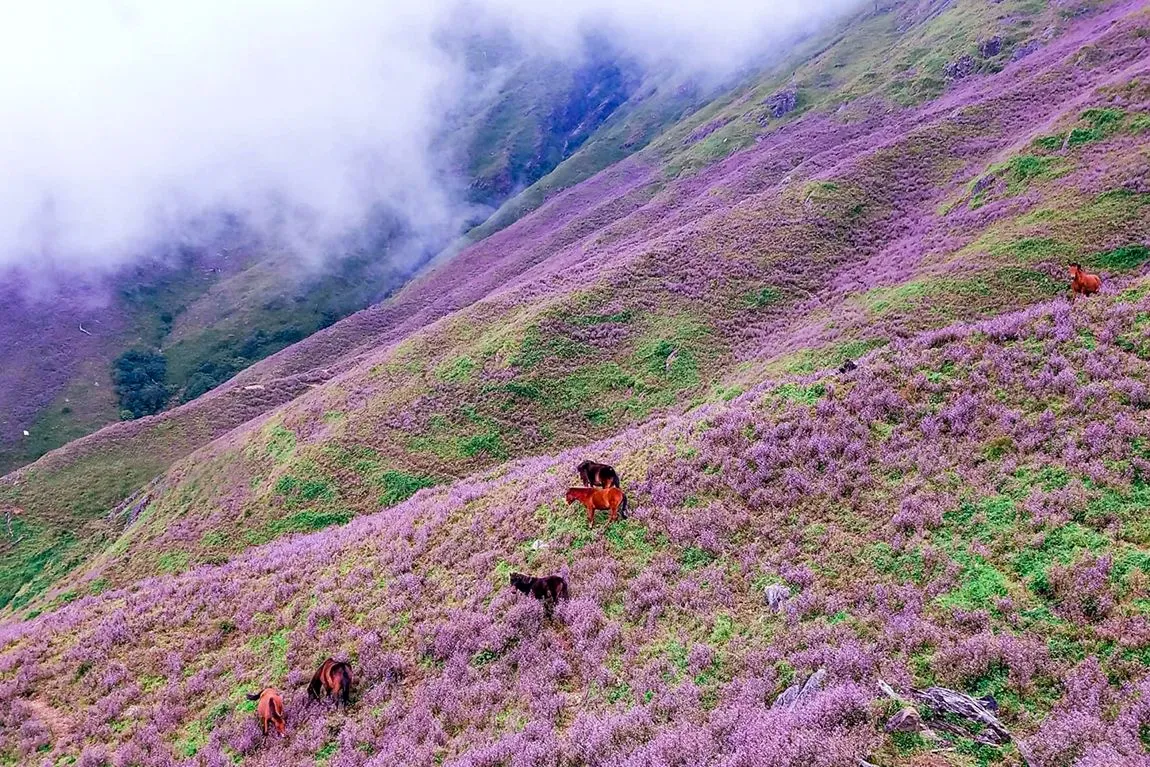 Lịch trình trekking Tà Chì Nhù 2N3Đ tự túc không thể bỏ lỡ