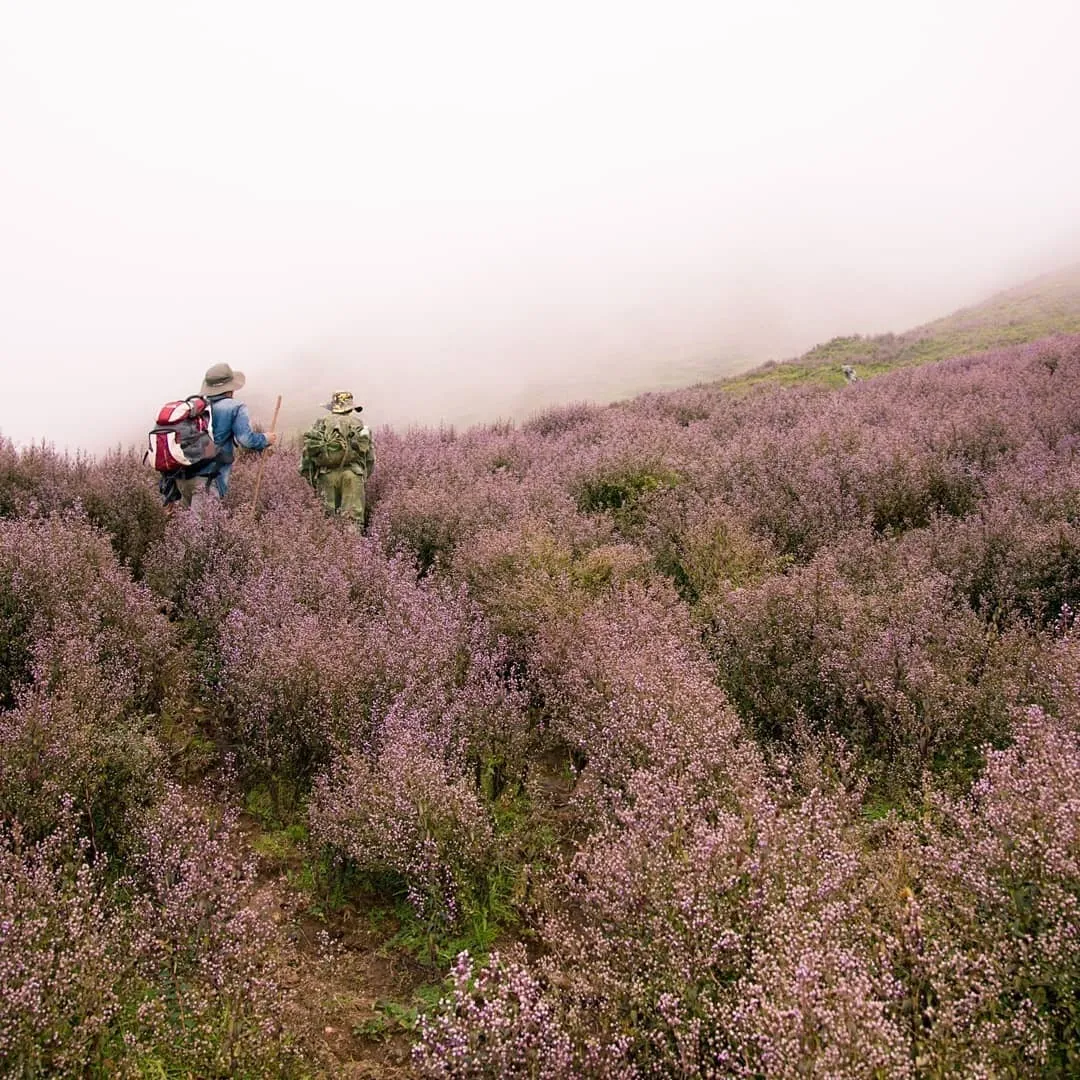 Lịch trình trekking Tà Chì Nhù – Tuy vất vả nhưng xứng đáng để trải nghiệm