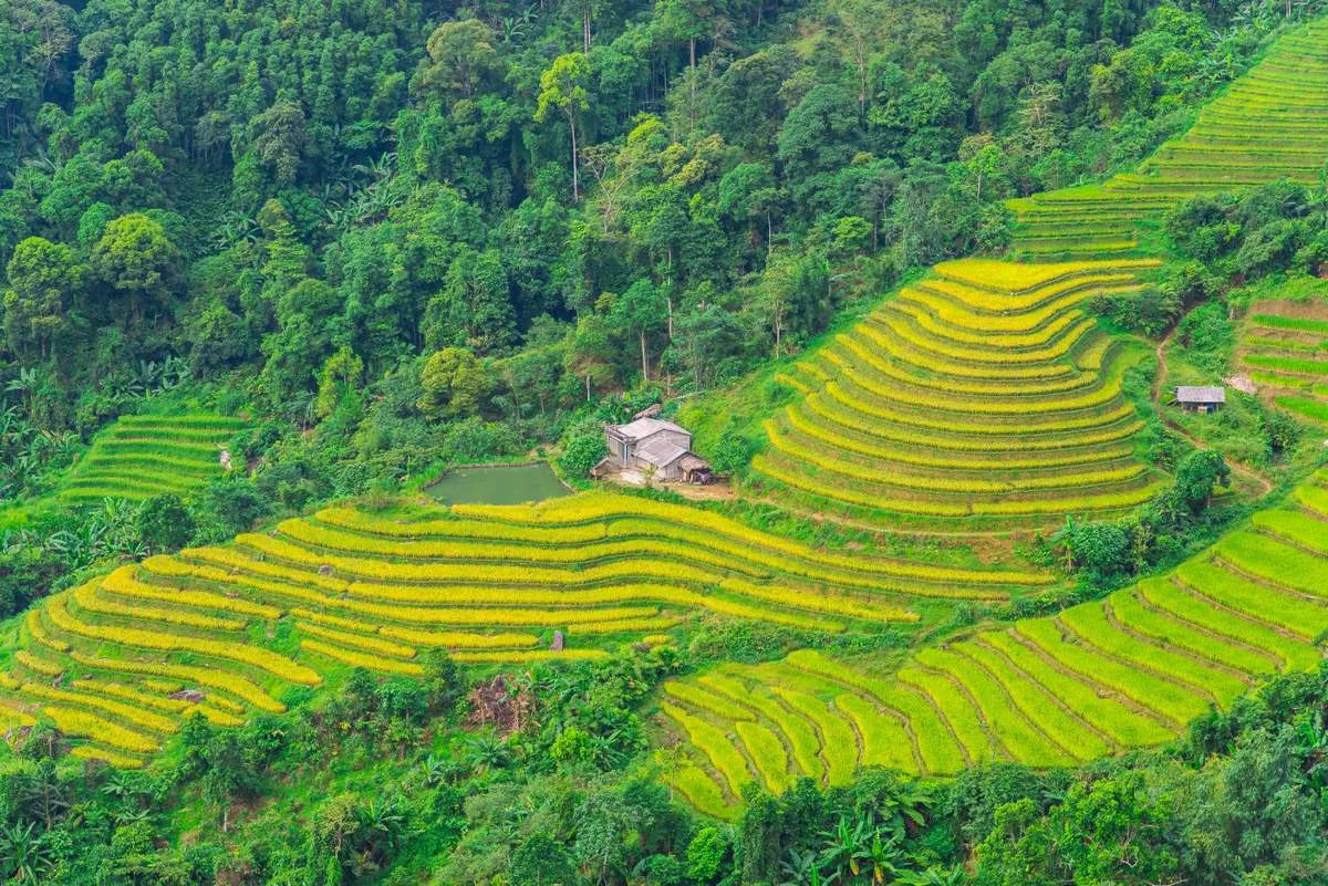 Lịch Trình trekking và trải nghiệm văn hóa bản địa Hoàng Su Phì