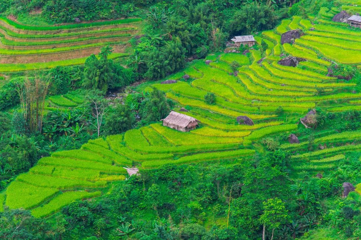 Lịch Trình trekking và trải nghiệm văn hóa bản địa Hoàng Su Phì