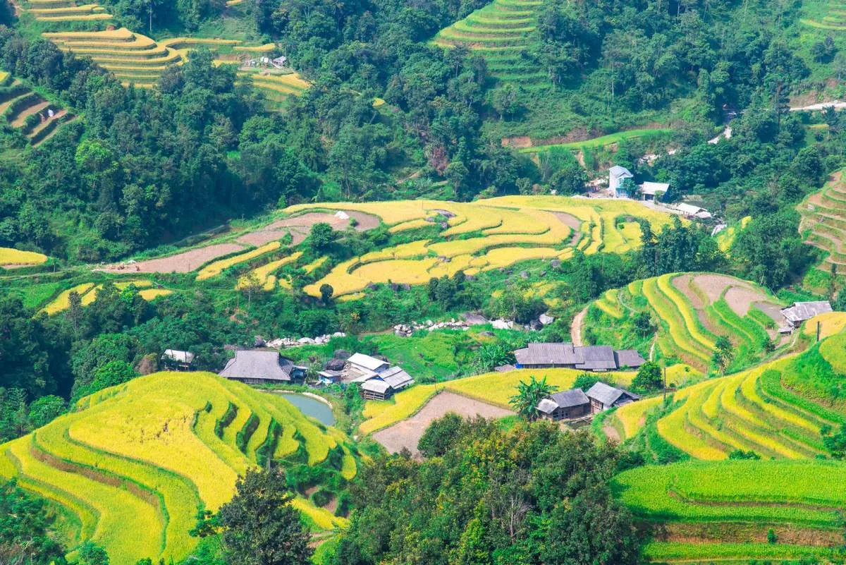 Lịch Trình trekking và trải nghiệm văn hóa bản địa Hoàng Su Phì