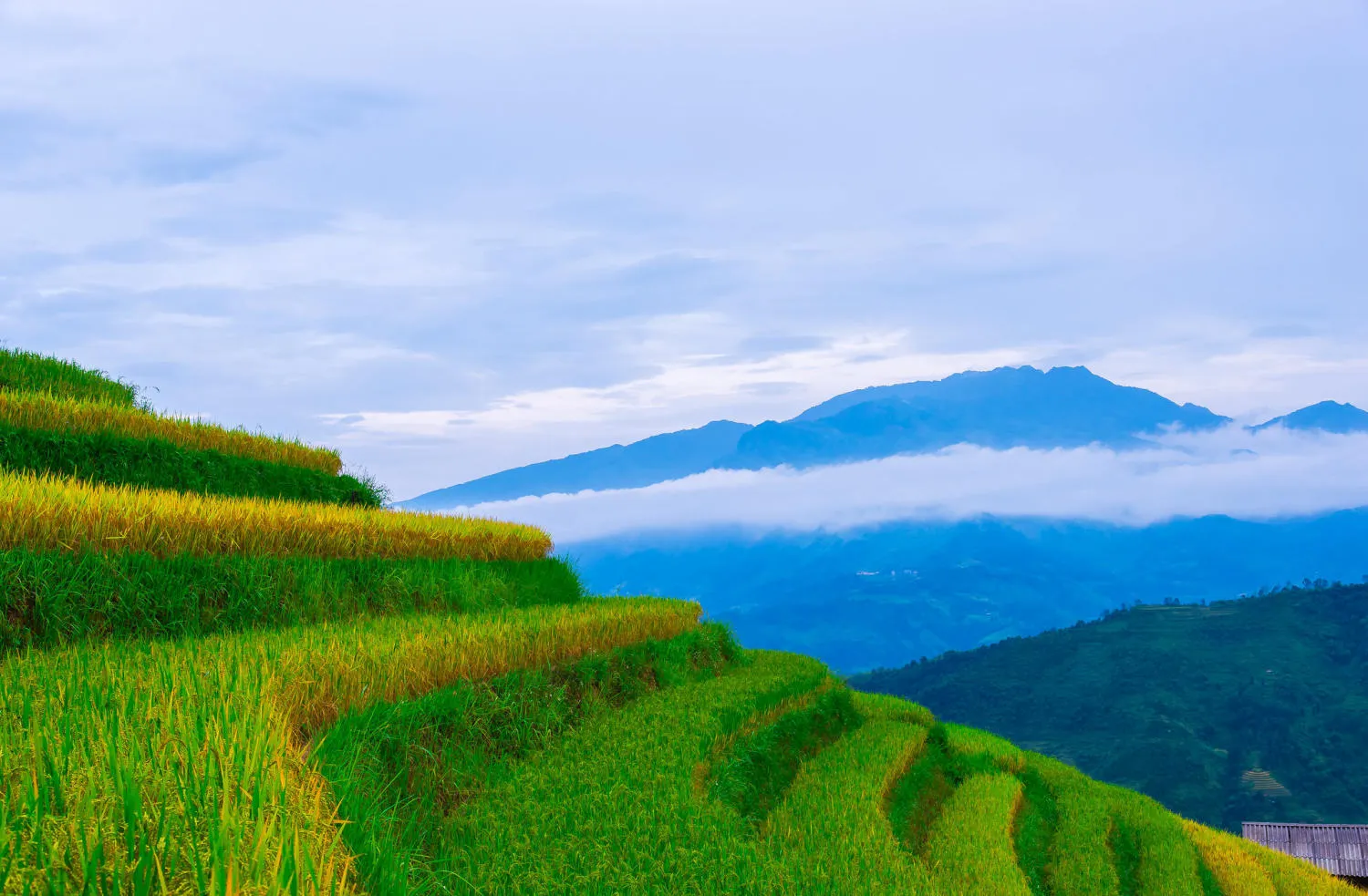 Lịch Trình trekking và trải nghiệm văn hóa bản địa Hoàng Su Phì