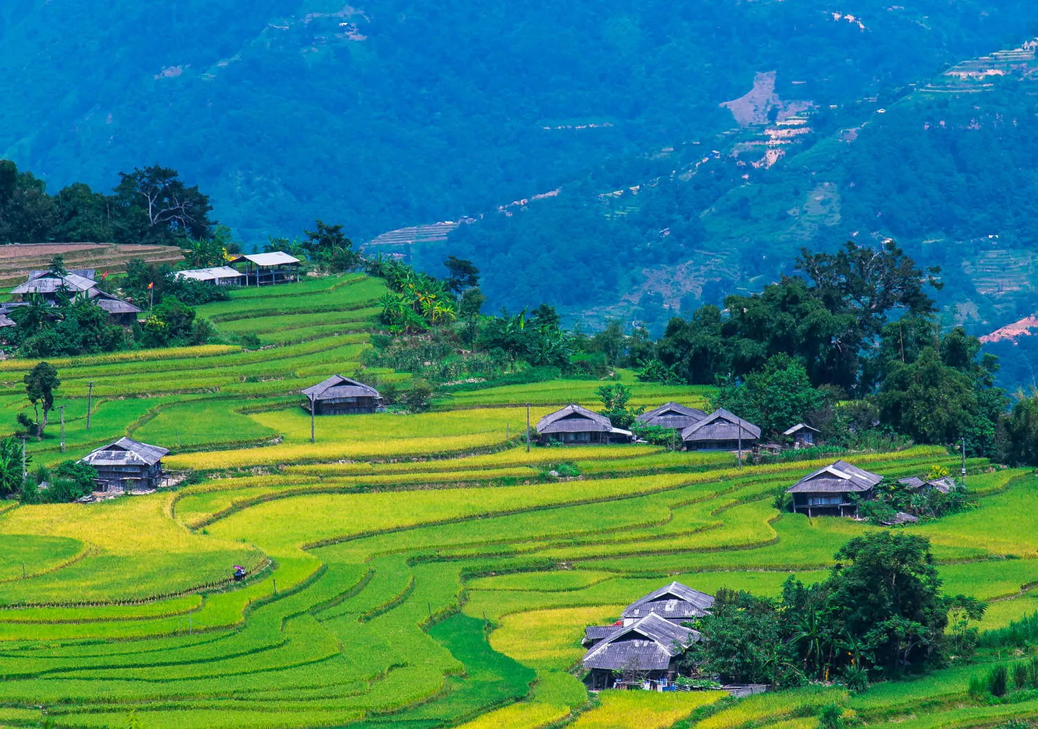 Lịch Trình trekking và trải nghiệm văn hóa bản địa Hoàng Su Phì