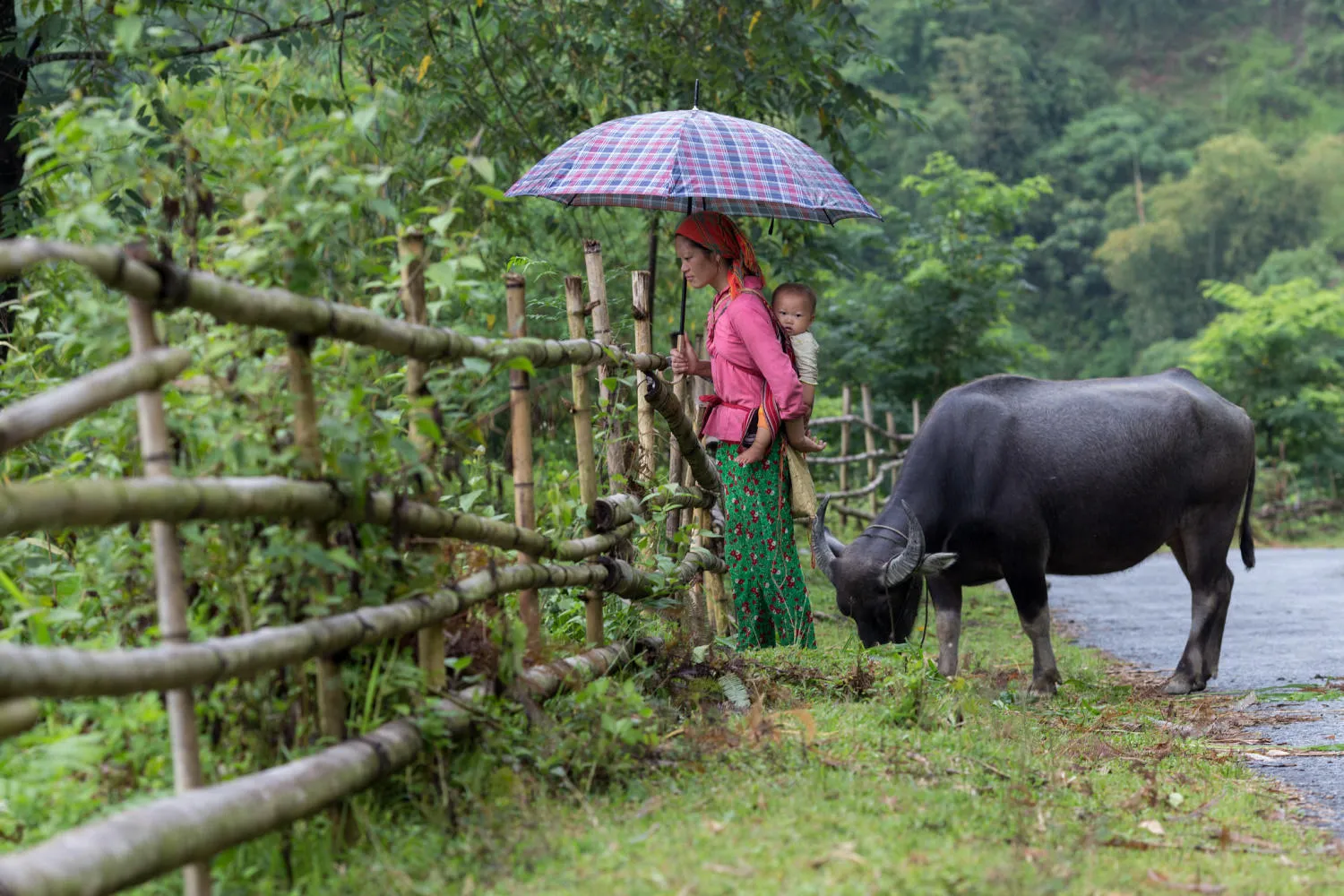 Lịch Trình trekking và trải nghiệm văn hóa bản địa Hoàng Su Phì