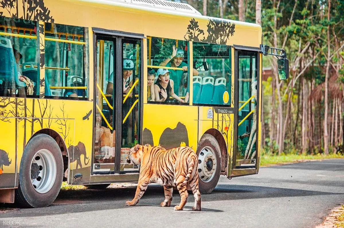 Lịch trình xe bus Phú Quốc tuyến VinWonders và Vinpearl Safari