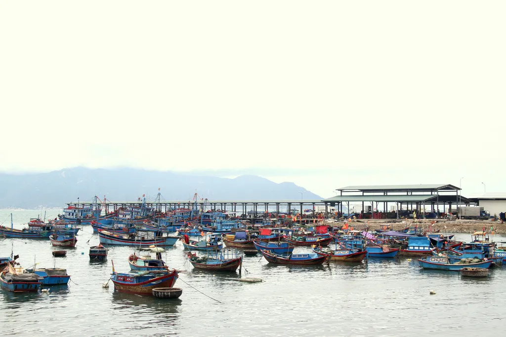 Llịch trình khám phá Đảo Khỉ – Suối Hoa Lan trong 1 ngày duy nhất