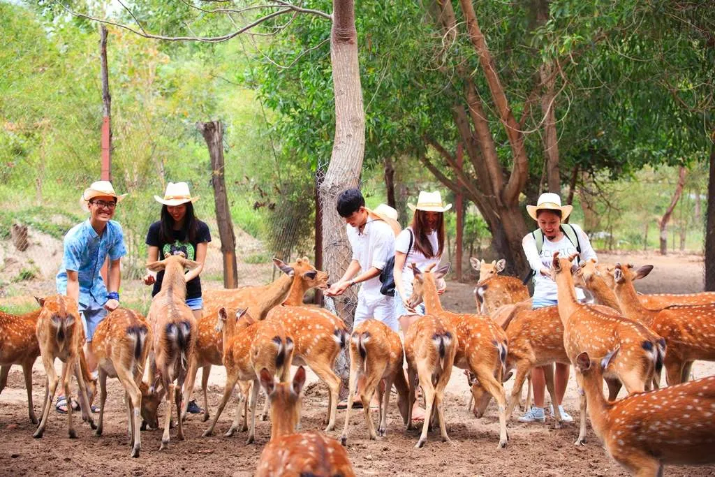 Llịch trình khám phá Đảo Khỉ – Suối Hoa Lan trong 1 ngày duy nhất