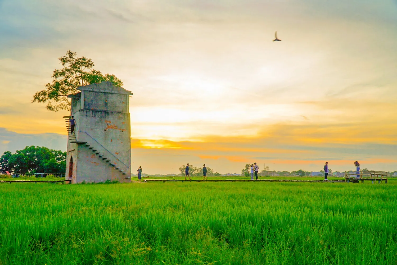 Lò gạch cũ Duy Vinh Hội An – Săn ảnh check-in đẹp như phim