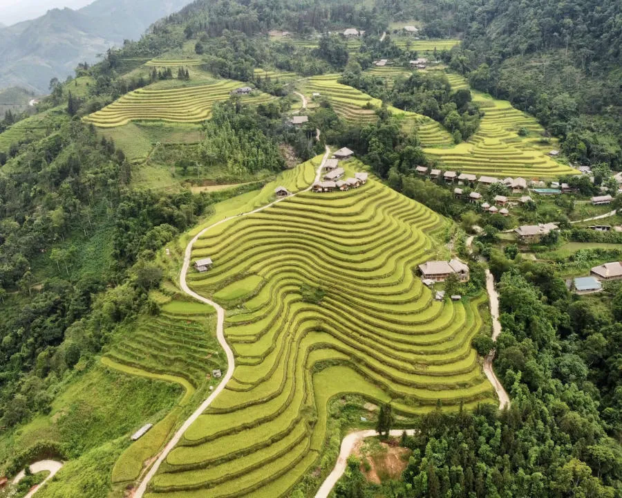 Loạn nhịp trước Hoàng Su Phì mùa lúa chín đẹp đến nao lòng