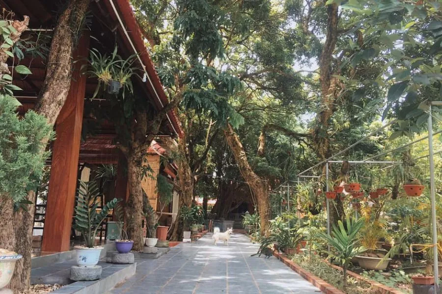 Luna Nature Homestay, nơi nghỉ dưỡng mang nét đẹp của sự bình dị