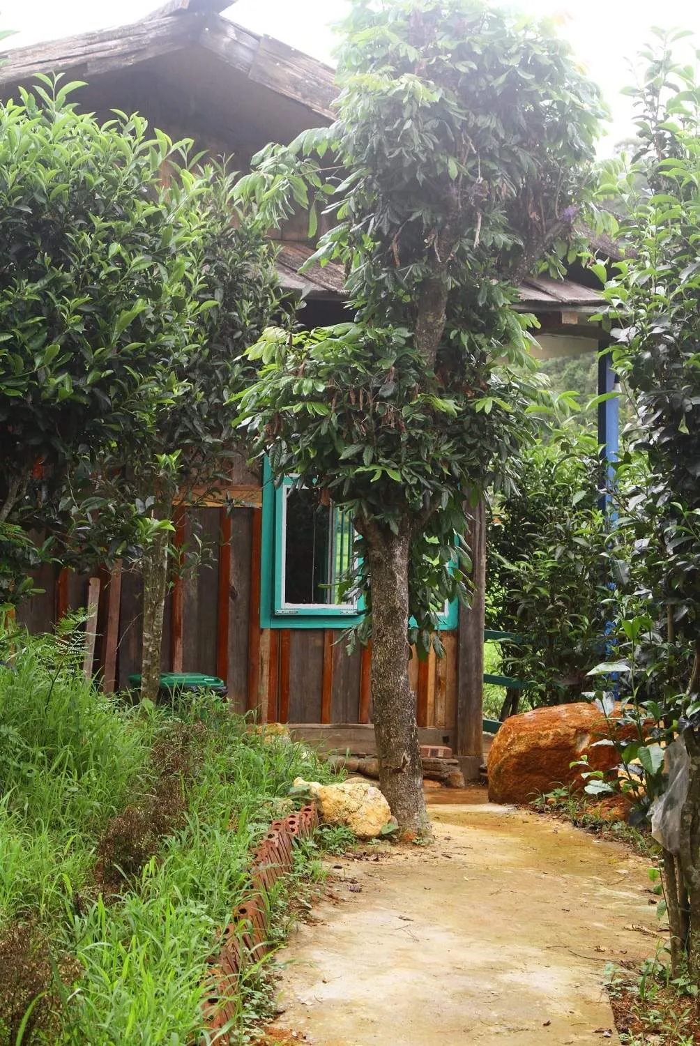 Lưu giữ những khoảnh khắc đáng nhớ cùng khu sinh thái Ecolodge Mù Cang Chải