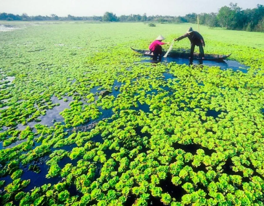 Lưu ngay cẩm nang khám phá Cà Mau chi tiết cực hấp dẫn