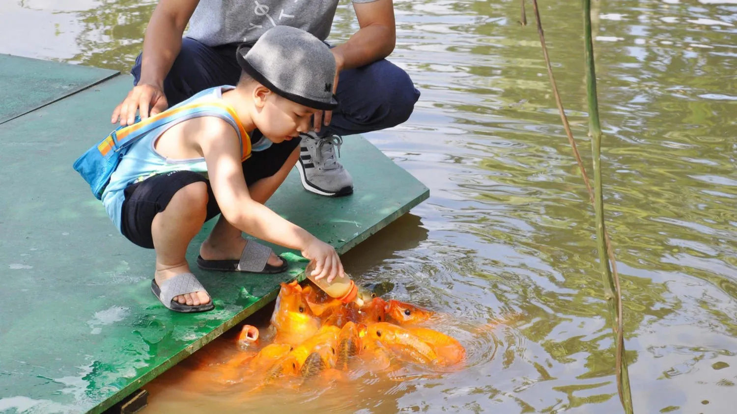 Mách bạn kinh nghiệm đi thác Yang Bay Nha Trang đầy đủ và chi tiết nhất