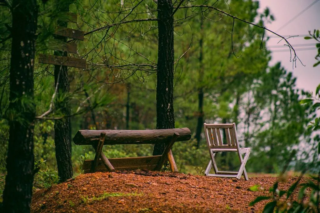 Mách nhỏ lịch trình Huế tự túc 3N3Đ vừa tiết kiệm vừa chiêm nghiệm