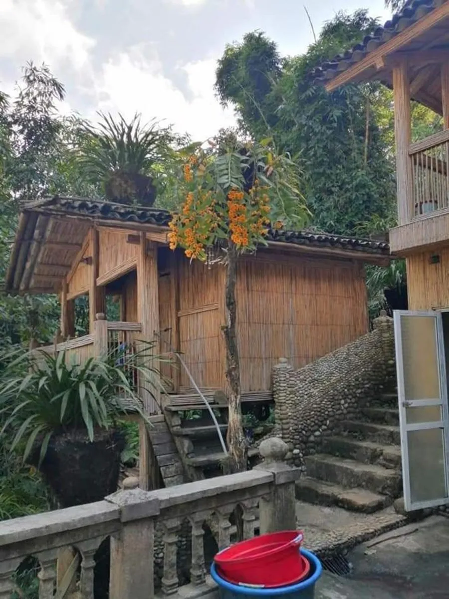 Mama Gia Homestay, nơi giúp bạn trải nghiệm chân thực về cuộc sống vùng Tây Bắc