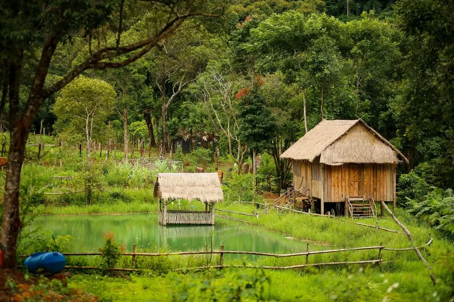 Măng Đen và hành trình bỏ phố về quê của cậu bạn Đô Đô