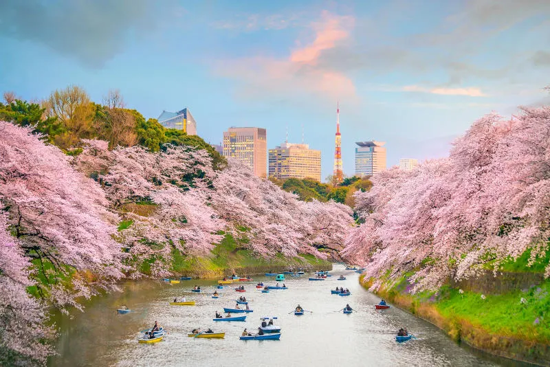 Mê mẩn trước kỳ quan kiến trúc Hoàng cung Tokyo tại Nhật Bản