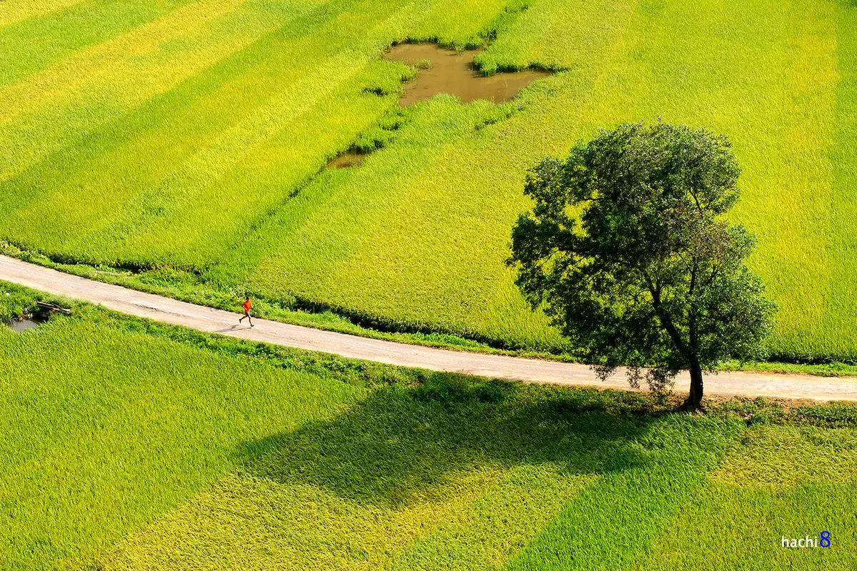 Mộng mơ vùng đất thiêng qua các mùa du lịch Ninh Bình