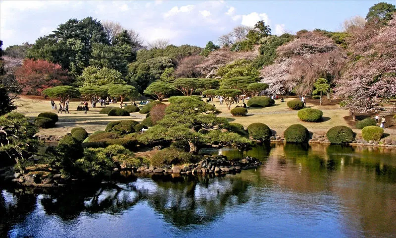 Một ngày khám phá Shinjuku, điểm đến độc đáo bậc nhất Tokyo