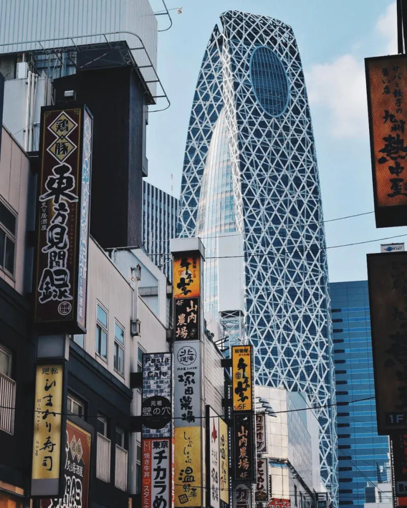 Một ngày khám phá Shinjuku, điểm đến độc đáo bậc nhất Tokyo