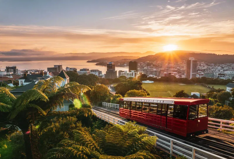 Một ngày khám phá thành phố Wellington đầy gió ở New Zealand