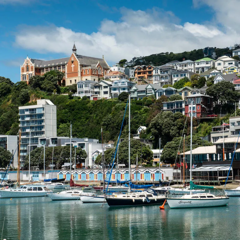 Một ngày khám phá thành phố Wellington đầy gió ở New Zealand