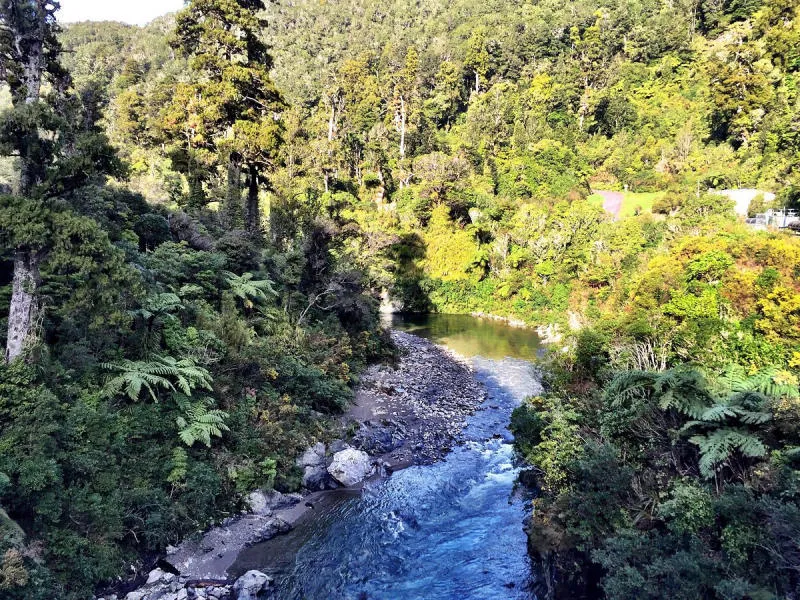 Một ngày khám phá thành phố Wellington đầy gió ở New Zealand