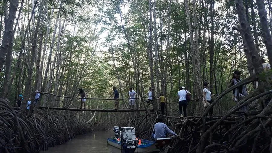 Một ngày ở Điểm du lịch cộng đồng 3 Sú, trải nghiệm làm nông dân