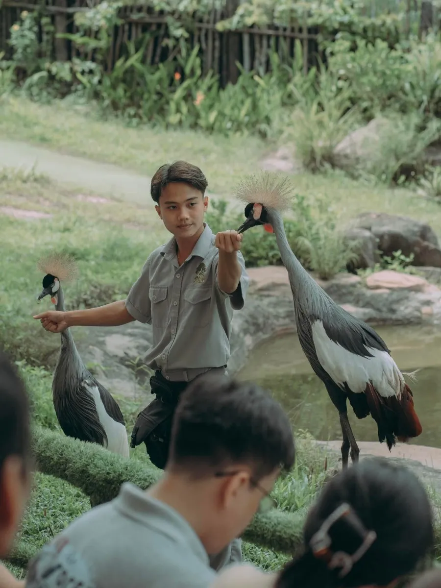 Một ngày tại Vinpearl Safari, vườn thú bán hoang dã trong lòng Đảo Ngọc