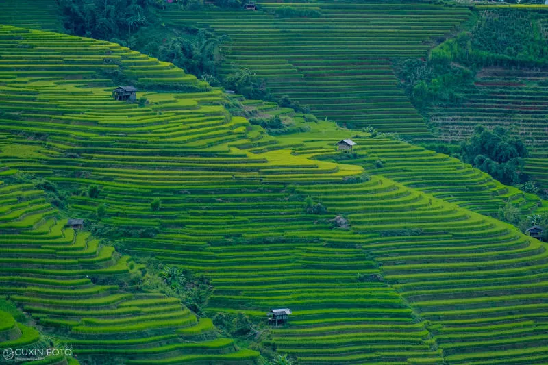 Mù Cang Chải hùng vĩ và nên thơ trên vùng cao Yên Bái