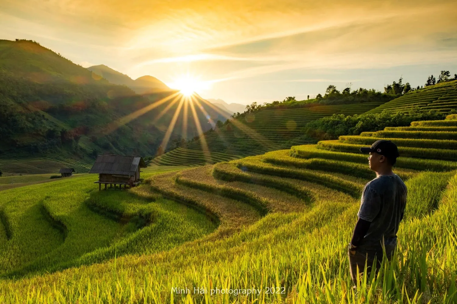 Mùa lúa chín ở Nậm Cang, cảnh sắc say đắm lòng người