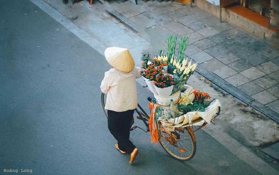 Mùa thu Hà Nội đầy yên bình qua những ô cửa sổ