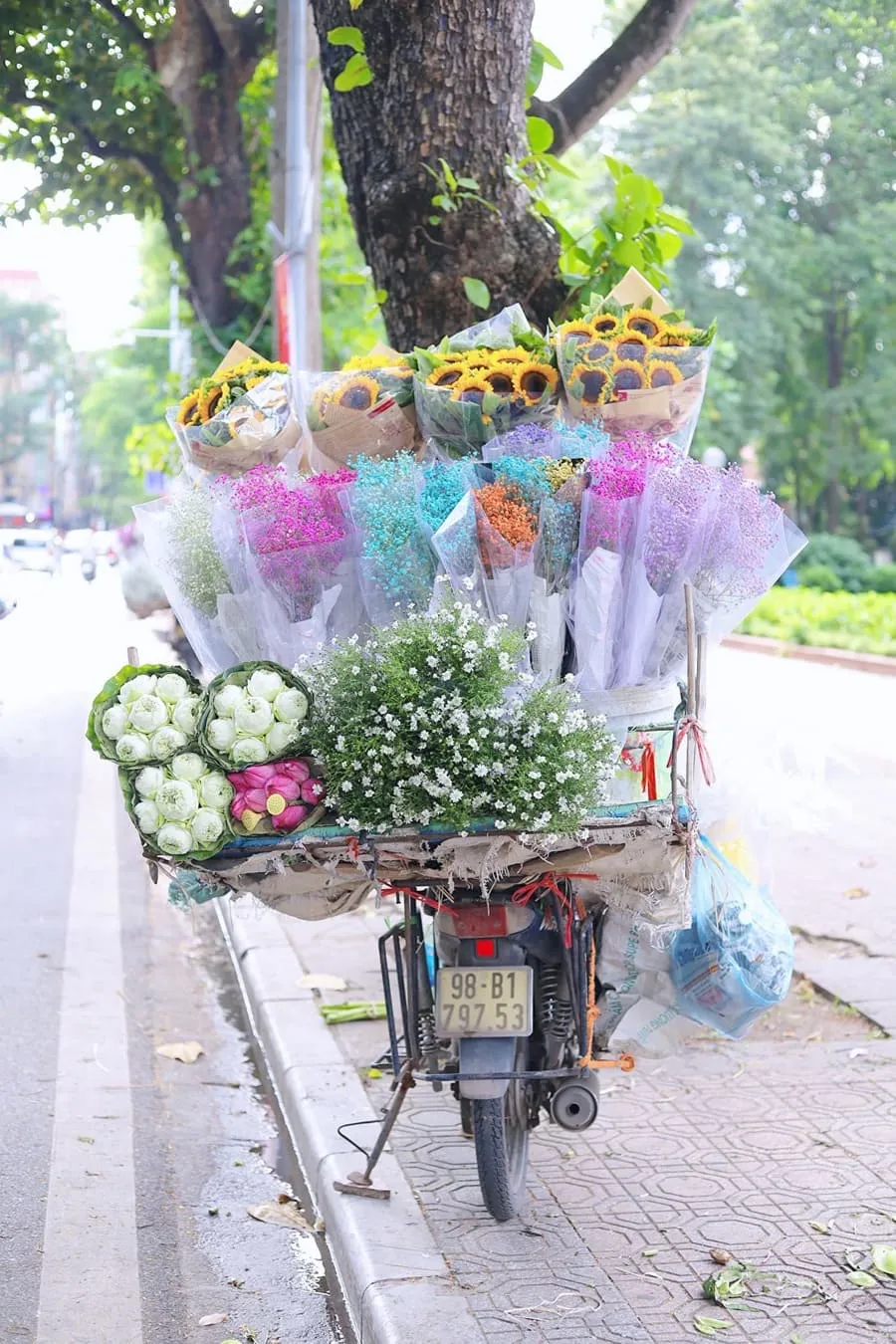 Mùa thu Hà Nội, vẻ đẹp lãng đãng tựa như lời hát ru