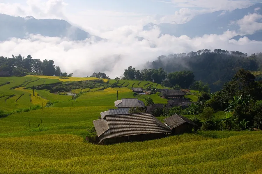 Mùa vàng Hoàng Su Phì cực lãng mạn trong từng bức ảnh của bạn Thu Hương