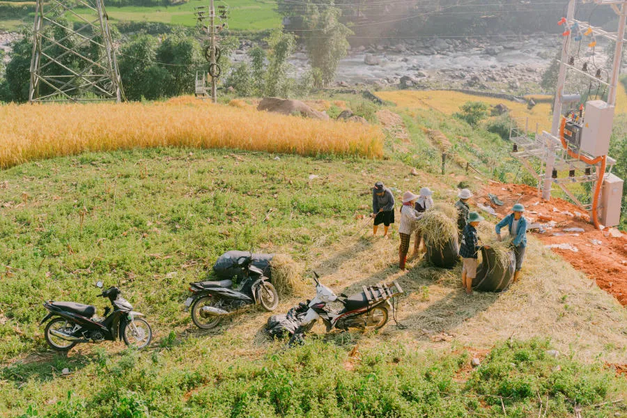 Mùa vàng trên Bản Tả Van dịu dàng trong đôi mắt của lữ khách bốn phương