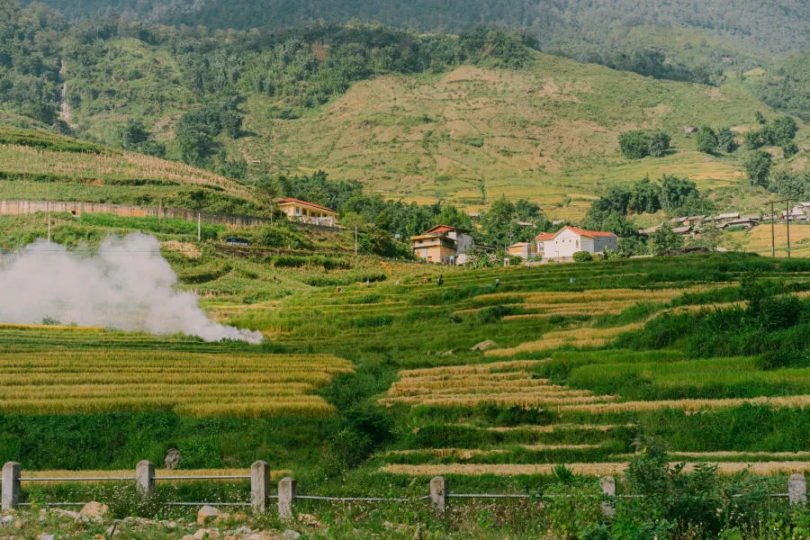 Mùa vàng trên Bản Tả Van dịu dàng trong đôi mắt của lữ khách bốn phương