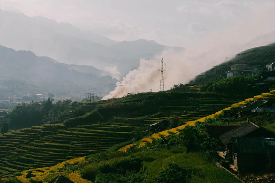 Mùa vàng trên Bản Tả Van dịu dàng trong đôi mắt của lữ khách bốn phương