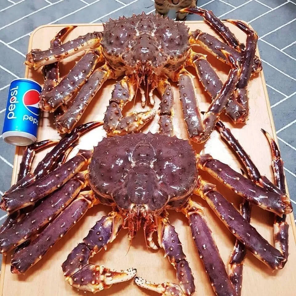 Muốn ăn cua hoàng đế ngon, đến ngay Nhà hàng Queen’s Crab Huế!