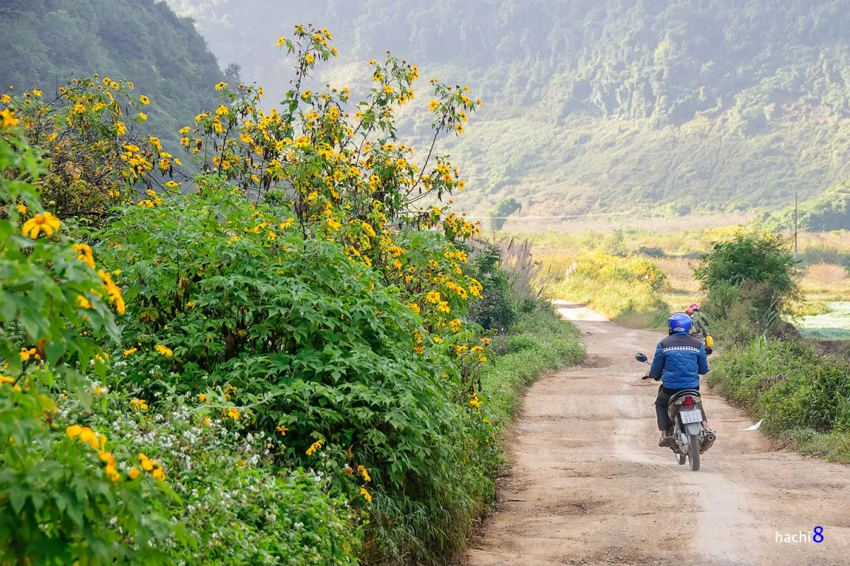 Muốn tìm Kinh nghiệm du lịch Mộc Châu tự túc 12 tháng thì về team MIA.vn!