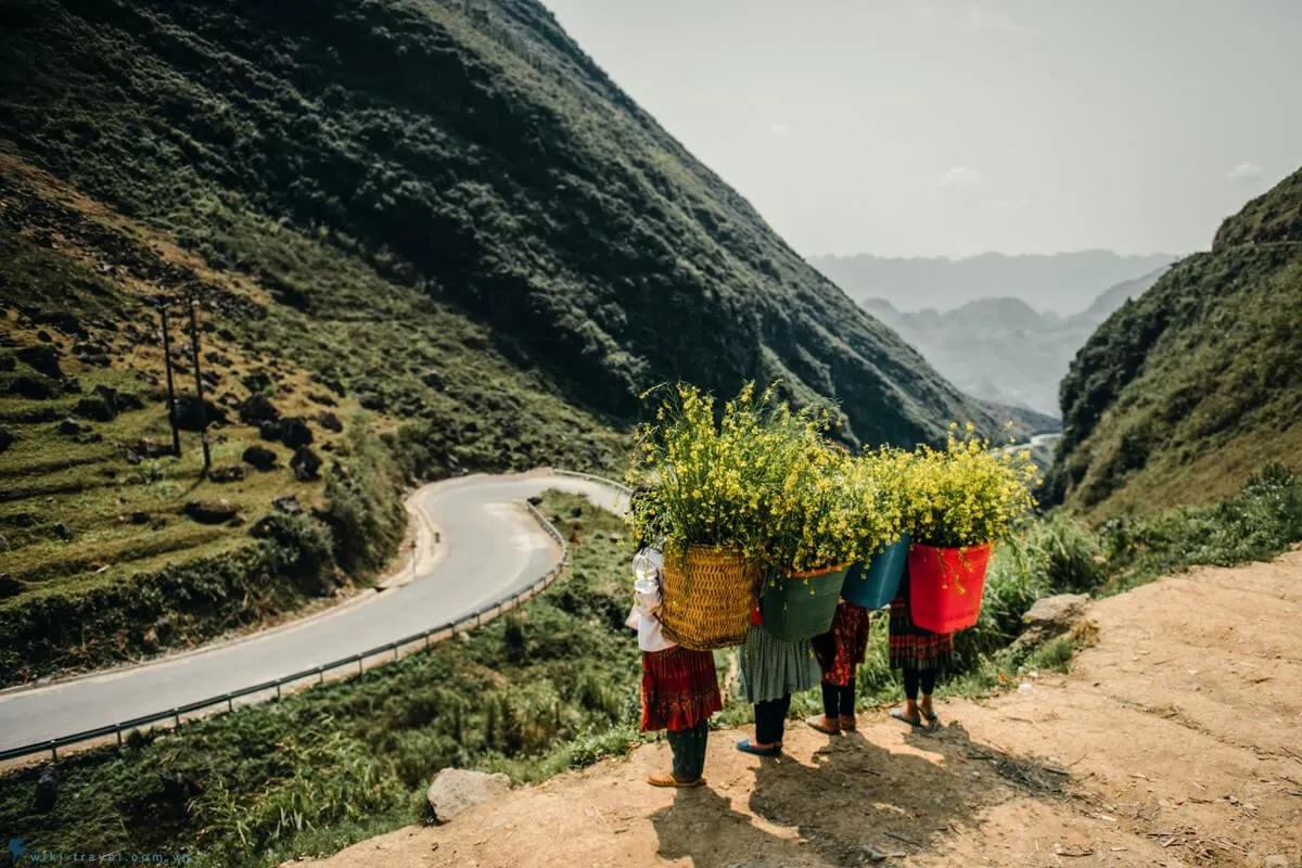 Nắm trọn lịch trình Hà Giang tự túc 3N4Đ cực chi tiết