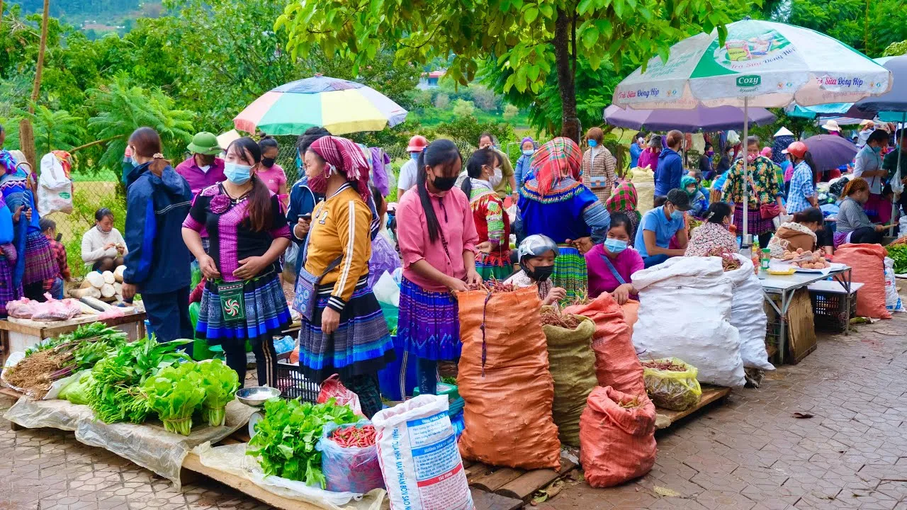 Nắm trọn lịch trình Hà Giang tự túc 3N4Đ cực chi tiết