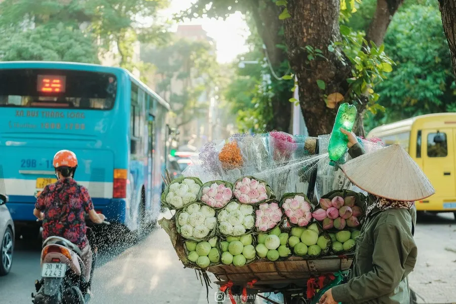 Nét thanh tao của Hà Nội giao mùa trên từng góc phố