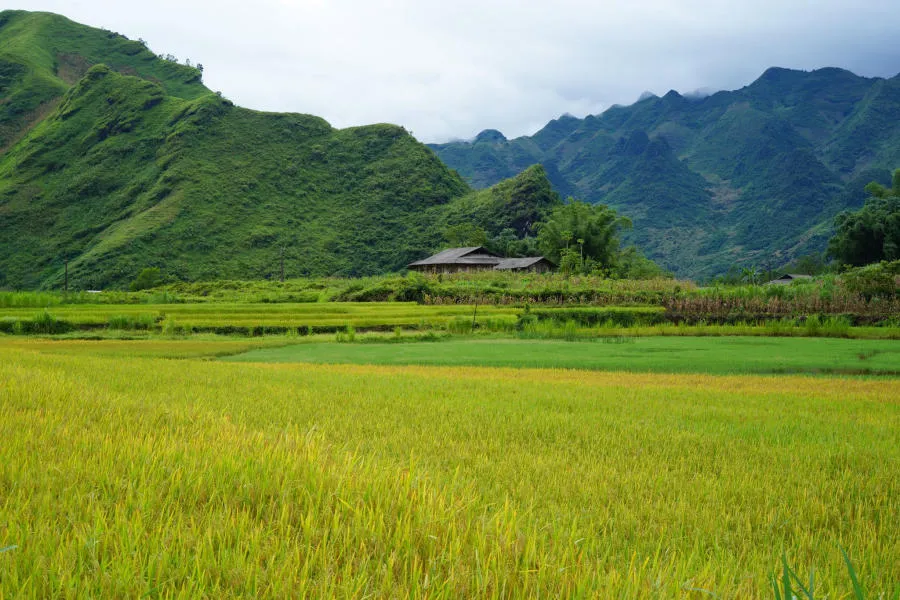 Ngắm nhìn Bản Du Già thanh bình vào mùa đẹp nhất