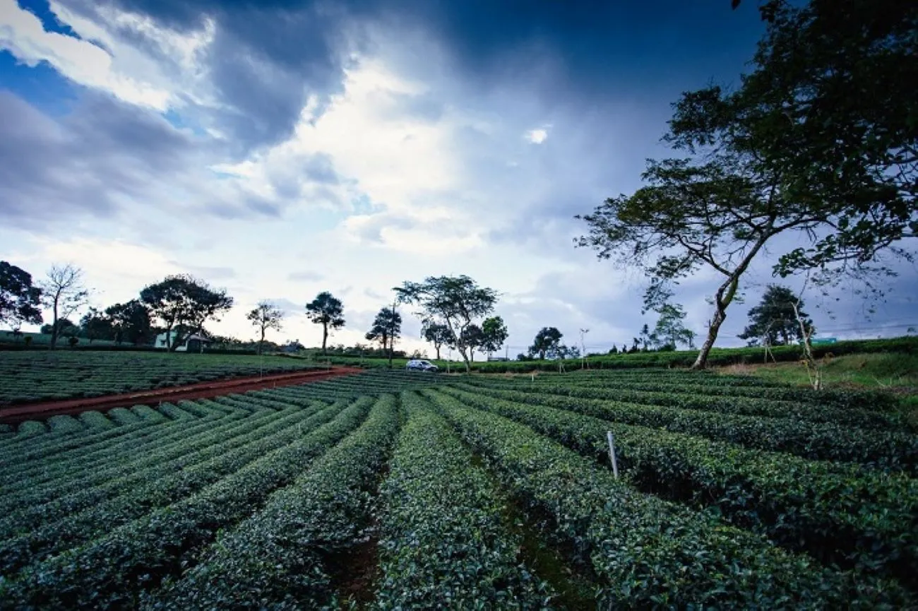 Ngẩn ngơ nét đẹp tựa cõi mơ nơi Suối Giàng Yên Bái